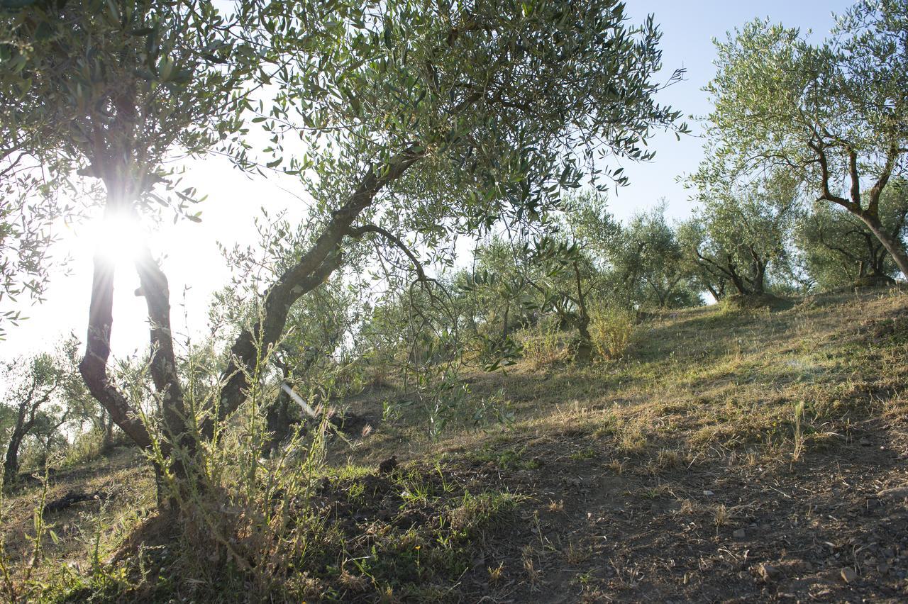 Agriturismo Poggio Corbello La Pesta Exterior photo